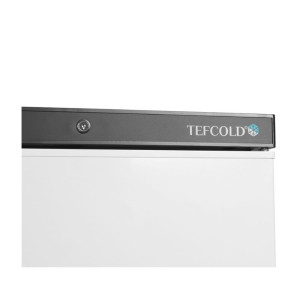 TEFCOLD Negative Refrigerated Cabinet - White - 340 L: Optimal preservation for professionals