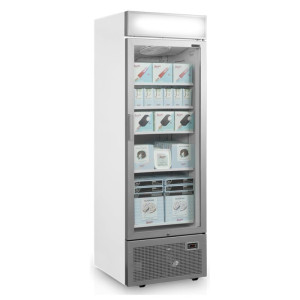 Vitrine Congélateur Porte Vitrée avec Canopée Silver - 440L TEFCOLD : présentation optimale de vos produits surgelés