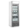 Vitrine Congélateur Porte Vitrée avec Canopée Silver - 440L TEFCOLD : présentation optimale de vos produits surgelés