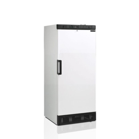 Armoire de Stockage Positive - Blanc - TEFCOLD - 260 L : Stockage optimal pour professionnels de la cuisine