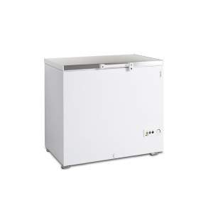 Stainless Steel Ice Chest Freezer - 273 L TEFCOLD: safe and durable storage for kitchen professionals