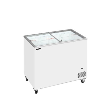 Congélateur Coffre Crème Glacée Cou. Coul. - 255 L TEFCOLD : Stockage professionnel performant et pratique