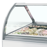 Ventilated Ice Display Case with Curved Front - TEFCOLD