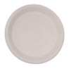 Assiettes ovales compostables en bagasse 198 mm - Lot de 50, qualité professionnelle