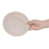 Ovale composteerbare borden van bagasse 198 mm - Set van 50, professionele kwaliteit