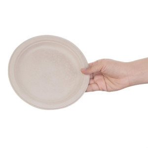 Ovale composteerbare borden van bagasse 316mm - Set van 50, Snelle levering, Hoge kwaliteit