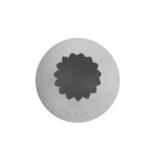 Spuitmond voor Petit Fours Roestvrij Staal 15 tanden Ø 14mm Gobel