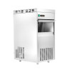 Crushed-Ice-Maschine 85 Kg Dynasteel - Optimale Leistung, maximaler Speicher