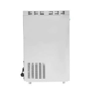 Grain Ice Machine - Dynasteel 100 Kg: Professional Quality