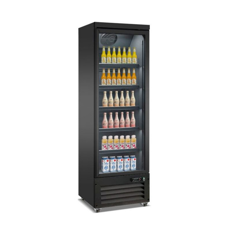 Vitrine à Boissons Noire à 2 Portes Vitrées - 450 L