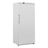 Armoire de Congélation Blanche Ventilée - 600 L - Dynasteel