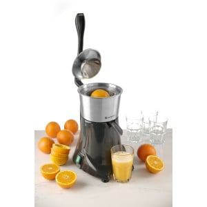 Electric Citrus Juicer