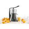 Electric Citrus Juicer