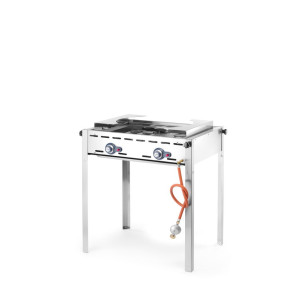 Professioneller Gasgrill Green Fire mit 2 Brennern - Marke HENDI