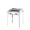 Professioneller Gasgrill Green Fire mit 2 Brennern - Marke HENDI