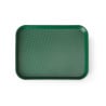 Rectangular Fast Food Tray - Small Size 265 x 345 mm - Green