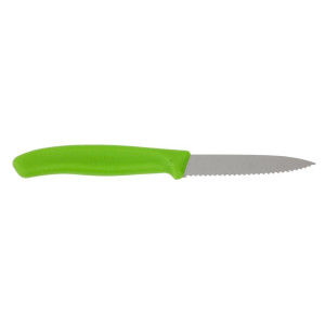 Green Serrated Blade 8 cm Paring Knife - Victorinox - Fourniresto