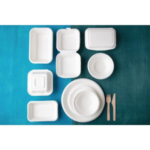 Bordjes van composteerbare bagasse 17,9 cm - Pak van 50 - Fiesta Green - Fourniresto