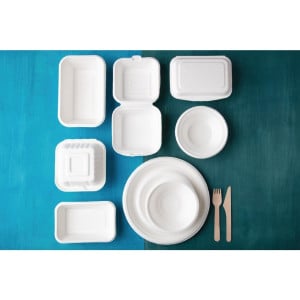 Composteerbare bagasse bakjes - L 215 mm - Set van 50 - Fiesta Green