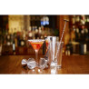 Passoire À Cocktail - 2 Zweige - FourniResto - Fourniresto