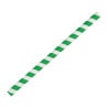 Rietjes voor smoothies van papier - Groen - L 210mm - Set van 250 - Fiesta Green