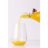 Mechanical Closure Bottle - 550ml - FourniResto