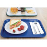 Plateau Self-Service 305 X 415Mm Blauw - Olympia KRISTALLON - Fourniresto