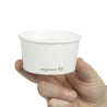 Bols Suppe/Eis Kompostierbar 170ml - Packung 1000 Vegware