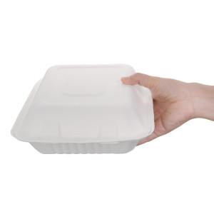 Composteerbare bagasse dozen 223mm - Set van 200, milieuvriendelijk