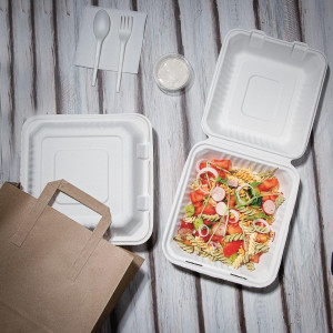 Composteerbare bagasse dozen 223mm - Set van 200, milieuvriendelijk