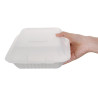 3-Compartment Bagasse Compostable Boxes 201mm - Pack of 200