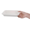 Composteerbare bakjes van bagasse 680 ml - Set van 50, topkwaliteit