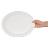 Ovale composteerbare borden van bagasse 316mm - Set van 50, Snelle levering, Hoge kwaliteit