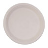 Ronde composteerbare borden van natuurlijke bagasse - Set van 50, 260mm