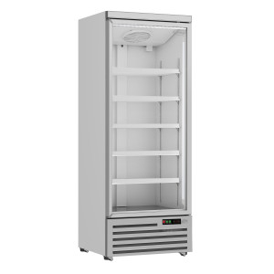 Positieve Koelkastkast - 1 Glazen Deur - 600 L - CombiSteel