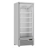 Positive Refrigerated Cabinet - 1 Glass Door - 600 L - CombiSteel