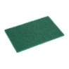 Green Scouring Pad - 110 x 151 mm - Pack of 10 - Jantex