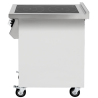 2-Burner Induction Cooktop with Base