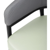 Meridian fauteuils in Grijs / Pistache - Set van 2