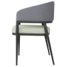 Meridian fauteuils in Grijs / Pistache - Set van 2