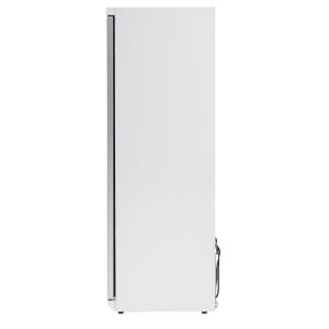 Vrieskast 400 L Glazen Deur Geventileerde Koeling -18/-22°C