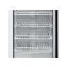 Vrieskast 400 L Glazen Deur Geventileerde Koeling -18/-22°C