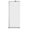 555 Liters Cabinet - Negative