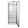 555 Liters Cabinet - Negative