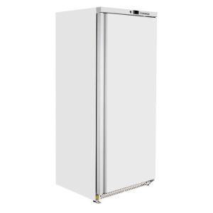 Gefrierschrank 590 L Umluftkühlung -18/-22°C