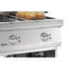 Electric Fryer - Series 700 - 2 x 11 L