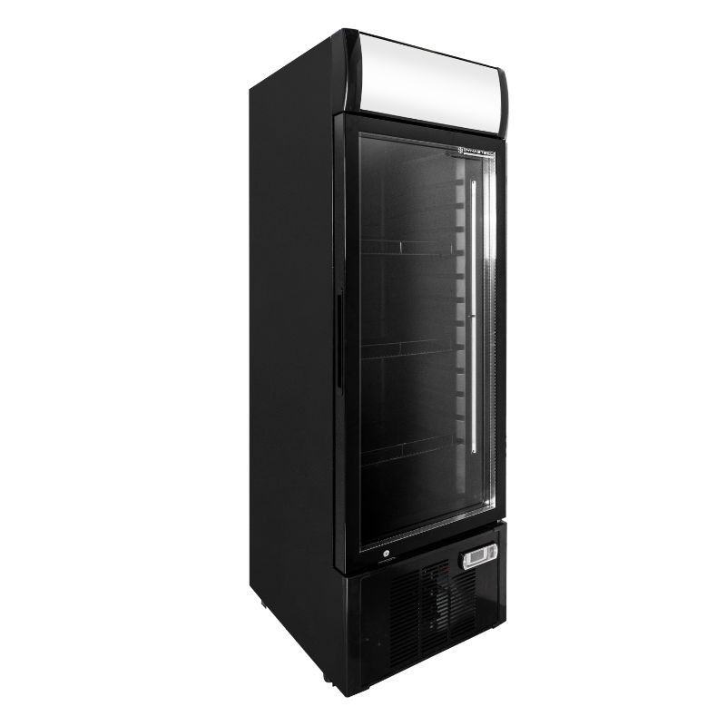 Koelvitrine voor Dranken - 300 L - Dynasteel Koelvitrine voor Dranken - 300 L - Dynasteel