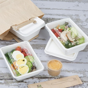 Composteerbare Bagasse Deksel voor Schalen - Set van 100 - Fiesta Green