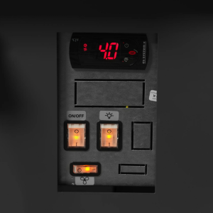 Premium-Service-Vitrine für frischen Fisch - 480 W