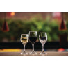 Solar Wine Glass - 245 ml - Set of 24 - Olympia